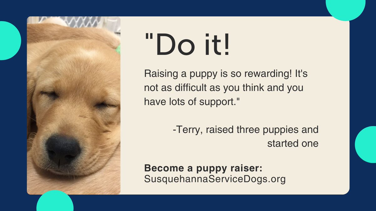 “Do it! Raising a puppy is so rewarding!” said Terry, after having raised three puppies and started one for a short time for Susquehanna Service Dogs.

Puppy raisers are #LifeChangers! Sign up today: khs.org/what-we-do/ass…