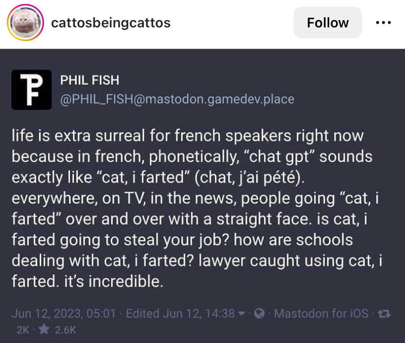 Valid point, chat gpt = cat, I farted.
Ah French, the language of romance 🇫🇷