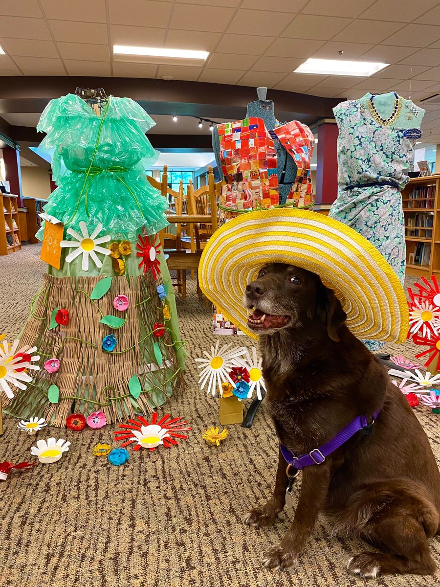 ByWaterSolution's tweet image. Our very own Princess the Labrarian loves hanging out at the library as much as we do!! She volunteered at the Milton Public Library - VT Book and Bake Sale Saturday!!

#labrarian #librarian #librarydogs #libraries