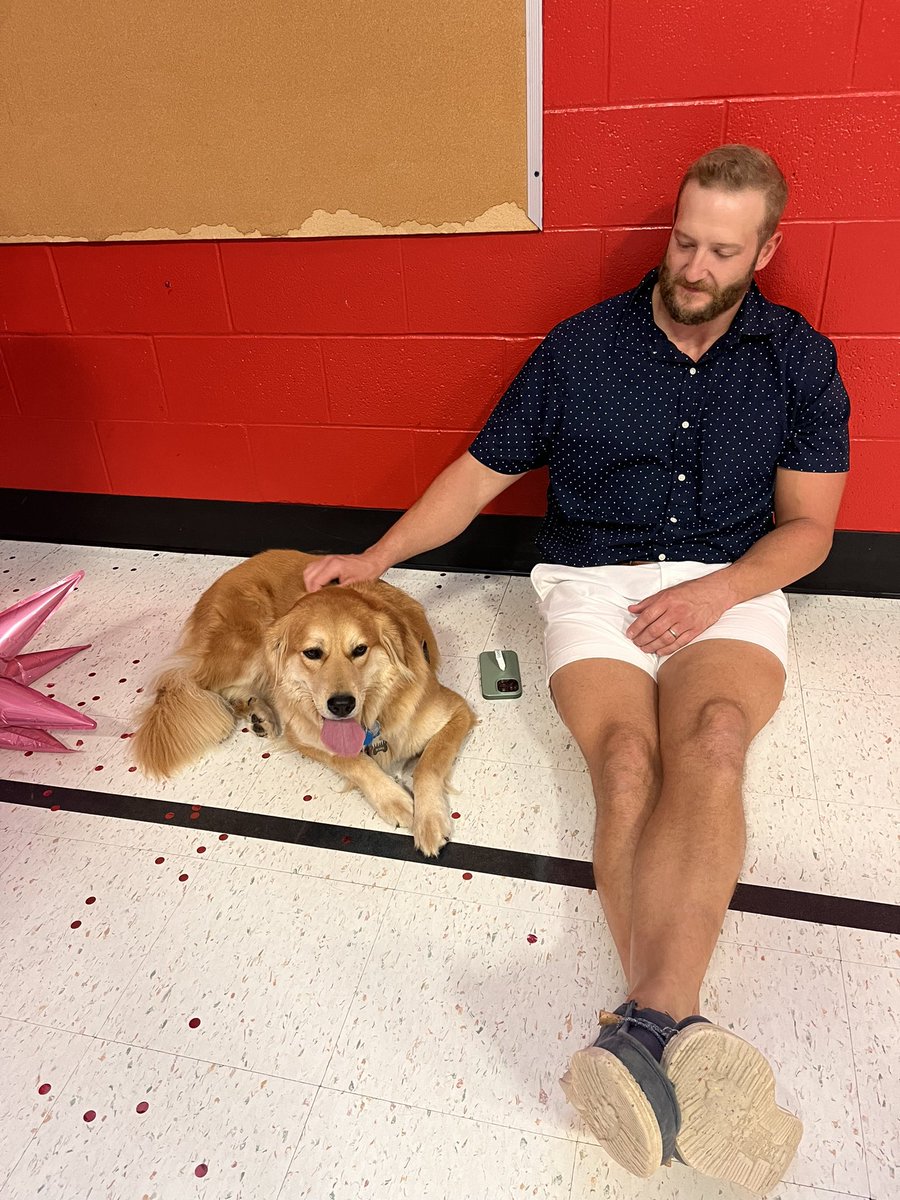 MrLeviSmith's tweet photo. Some furry friends from @WaysideWaifs joined @lufflions and @LBSharks for Puppy Yoga on our first professional development day! They also introduced their No More Bullying curriculum. Renewing our body, hearts, mind, and spirit with Habit 7: Sharpen the Saw! @TheLeaderinMe https://t.co/HilVbnscF2