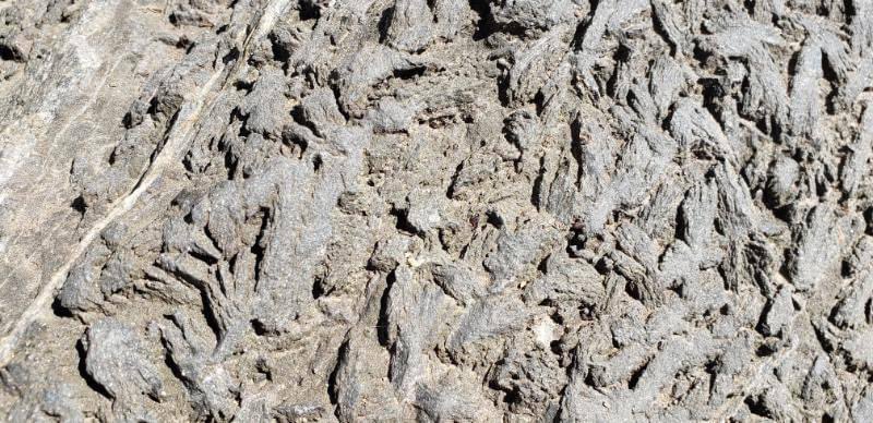 Chris J Drader 🇨🇦 tweet media