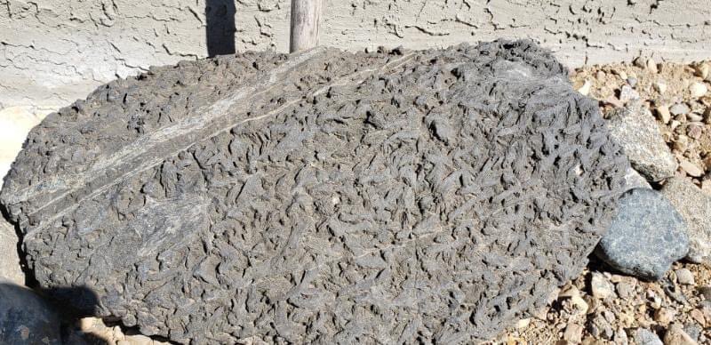 Chris J Drader 🇨🇦 tweet media