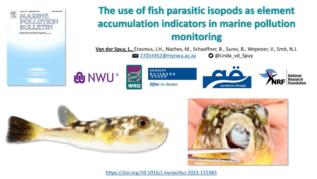 Hannes Erasmus🇿🇦🇩🇪 (@hanneserasmus11) on Twitter photo Another great collaborative article on #fish_parasites as marine pollution indicators (#ectoparasite_host_interaction) between 🇿🇦 <a href="/NWU_WRG/">NWU_WRG</a> <a href="/NWU_UESM/">NWU Unit for Environmental Sciences and Management</a> 🇩🇪 @zwu_ude 🇮🇸 @Reykjavik_University funded by the <a href="/NRF_News/">National Research Foundation of South Africa</a>. <a href="/Linda_vd_Spuy/">Linda Van Der Spuy</a> <a href="/NicoJSmit1/">Nico J Smit</a> <a href="/WepenerVictor/">Victor Wepener</a> @Bernd_AquatEcol Another great collaborative article on #fish_parasites as marine pollution indicators (#ectoparasite_host_interaction) between 🇿🇦 <a href="/NWU_WRG/">NWU_WRG</a> <a href="/NWU_UESM/">NWU Unit for Environmental Sciences and Management</a> 🇩🇪 @zwu_ude 🇮🇸 @Reykjavik_University funded by the <a href="/NRF_News/">National Research Foundation of South Africa</a>. <a href="/Linda_vd_Spuy/">Linda Van Der Spuy</a> <a href="/NicoJSmit1/">Nico J Smit</a> <a href="/WepenerVictor/">Victor Wepener</a> @Bernd_AquatEcol