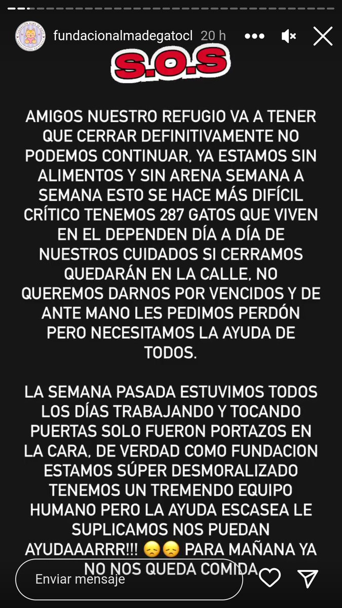 cindymiraflores's tweet photo. #theluloshow 
❤️ Compañeritos Lulos, uds que han sido tan aperrados para las lulotones, les quiero pedir por favor que consideren ayudar a este refugio de gatos que está a punto de CERRAR POR FALTA DE FONDOS. Son casi 300 gatitos que quedarían en la calle y que entre todos... https://t.co/gqpMyIeFlK