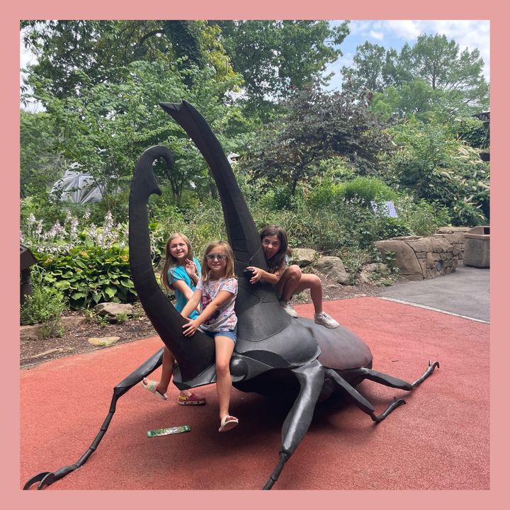 🚨 WE ARE BACK 🚨

We are back from our summer social detox. Really it was us just spending time with family and not having time to manage social media, but today we will call it a detox lol. 

We had some much fun this summer. 

#stlouis #familybusiness