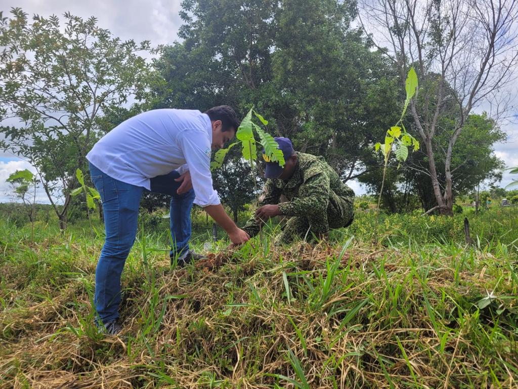 FNA_ArmadaCol's tweet photo. Nuestro #BFLIM32 en conjunto con el @COL_EJERCITO , la C.D.A, en el Municipio de #SanJoséDelGuaviare, realizaron una jornada ambiental consistente en la siembra de 300 plántulas como Cachicamo, Ocobo y Macano. Contribuyendo a la conservación del medio ambiente🌳🇨🇴 https://t.co/cXt6aWl93u