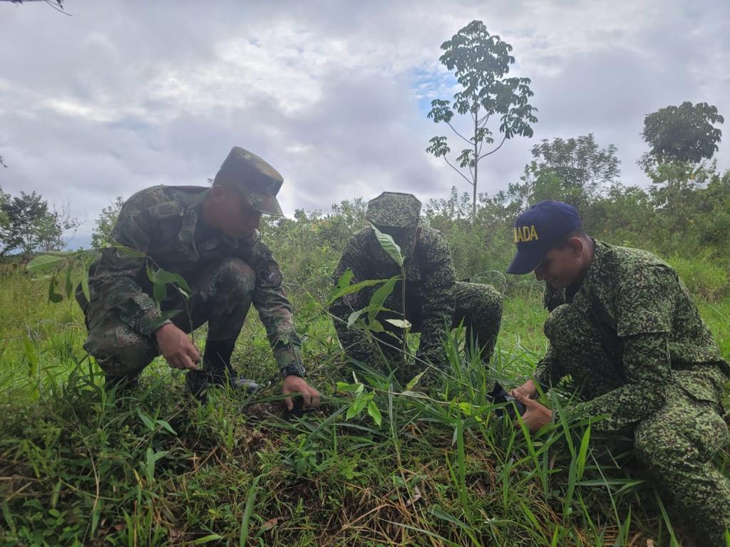 FNA_ArmadaCol's tweet photo. Nuestro #BFLIM32 en conjunto con el @COL_EJERCITO , la C.D.A, en el Municipio de #SanJoséDelGuaviare, realizaron una jornada ambiental consistente en la siembra de 300 plántulas como Cachicamo, Ocobo y Macano. Contribuyendo a la conservación del medio ambiente🌳🇨🇴 https://t.co/cXt6aWl93u