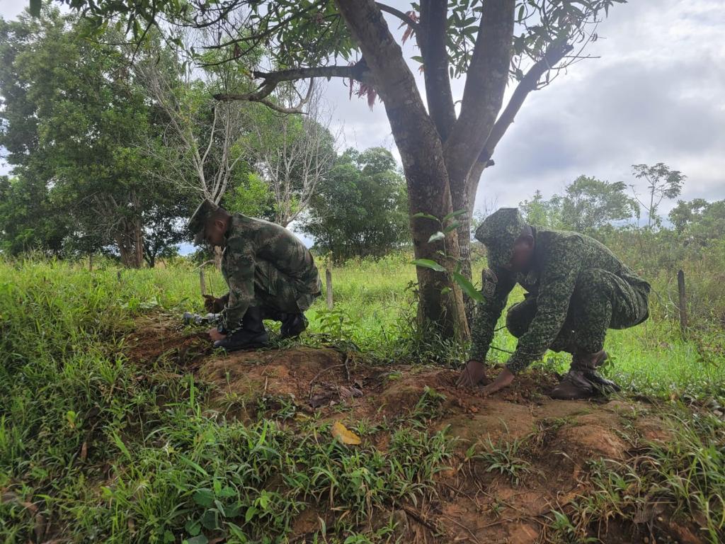 FNA_ArmadaCol's tweet photo. Nuestro #BFLIM32 en conjunto con el @COL_EJERCITO , la C.D.A, en el Municipio de #SanJoséDelGuaviare, realizaron una jornada ambiental consistente en la siembra de 300 plántulas como Cachicamo, Ocobo y Macano. Contribuyendo a la conservación del medio ambiente🌳🇨🇴 https://t.co/cXt6aWl93u