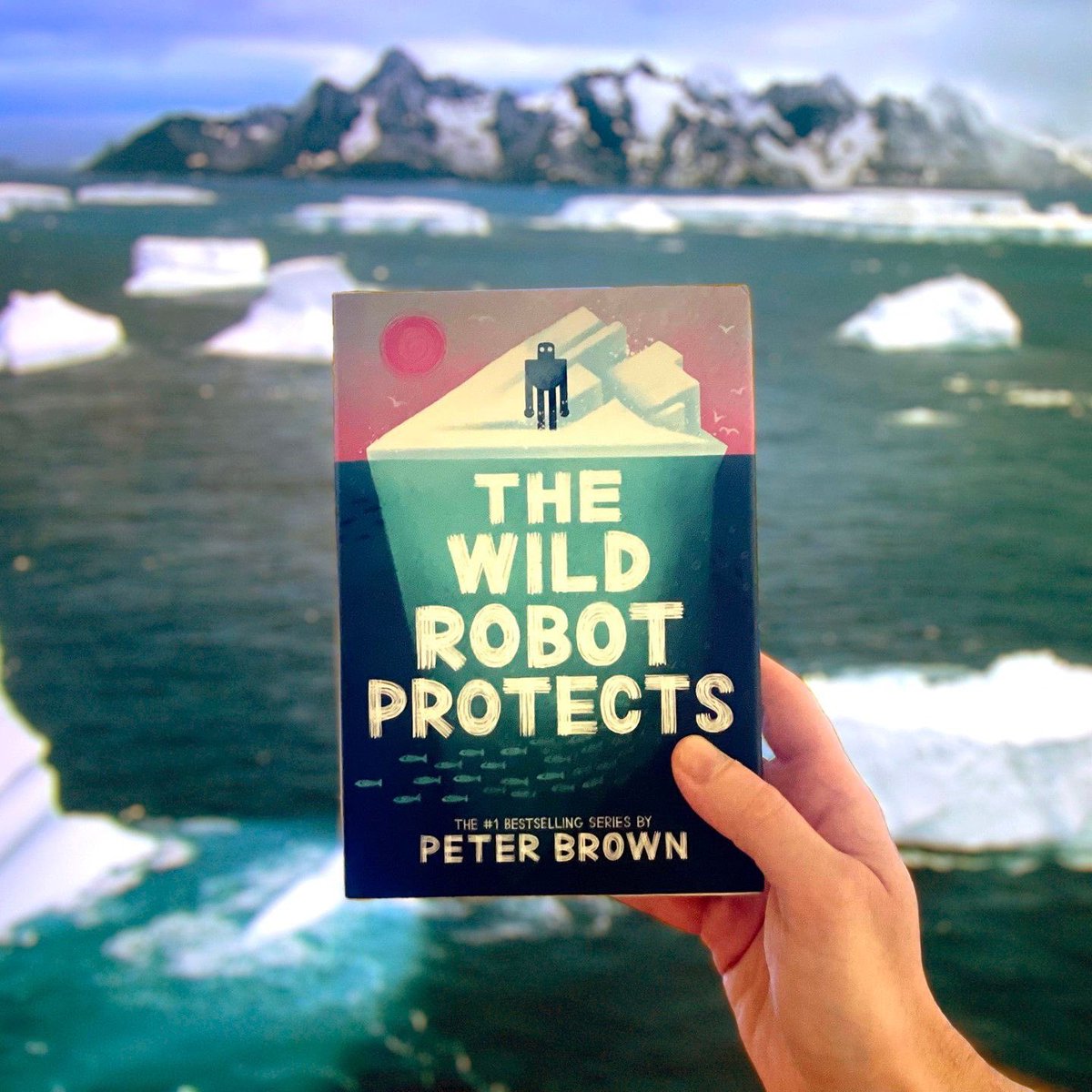 peter brown! tweet media