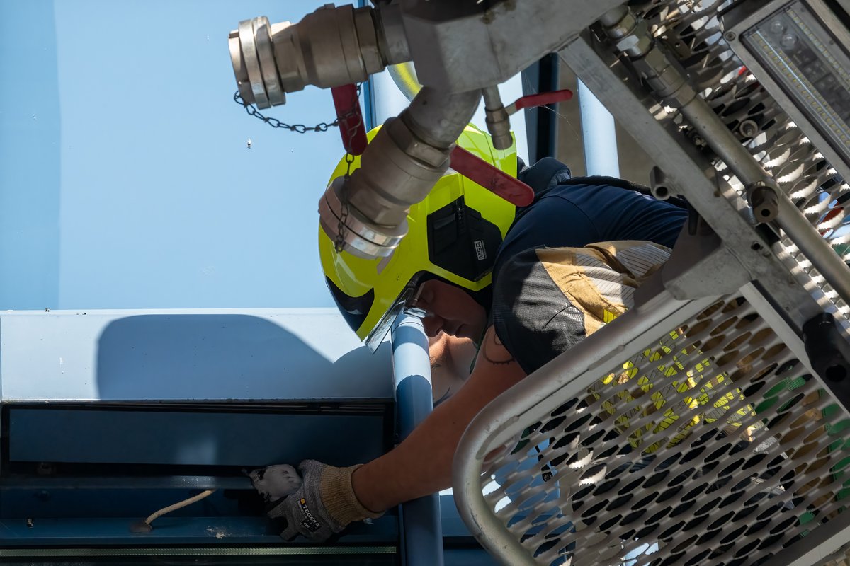 Reality_Photo's tweet photo. Brandweer bevrijdt duif uit benarde positie in Waalwijk. De duif zat vast tussen de gevel en een bak van de zonnewering.

Medewerkers van de dierenambulance ontfermden zich daarna over de duif, die waarschijnlijk niets overhield aan het avontuur. https://t.co/8IXdoNm3QX