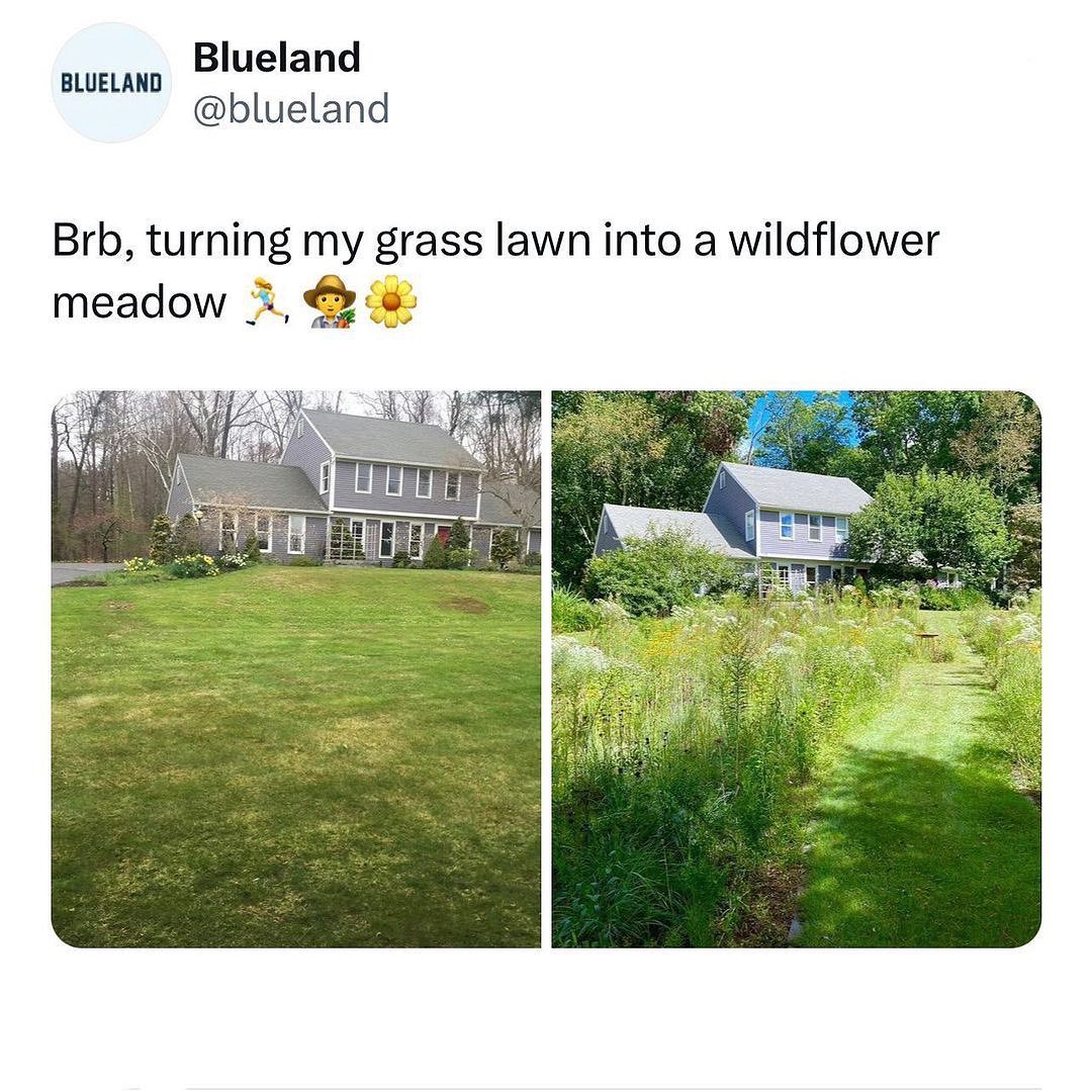 ecofriendlyfact's tweet photo. Yes, these are real!

Read more : https://t.co/gKTshumWo2

#eco #recycled #ecotips #greentips #zerowaste #zerowasteliving #zerowastelifestyle #zerowastelife https://t.co/7Tptv68wOX