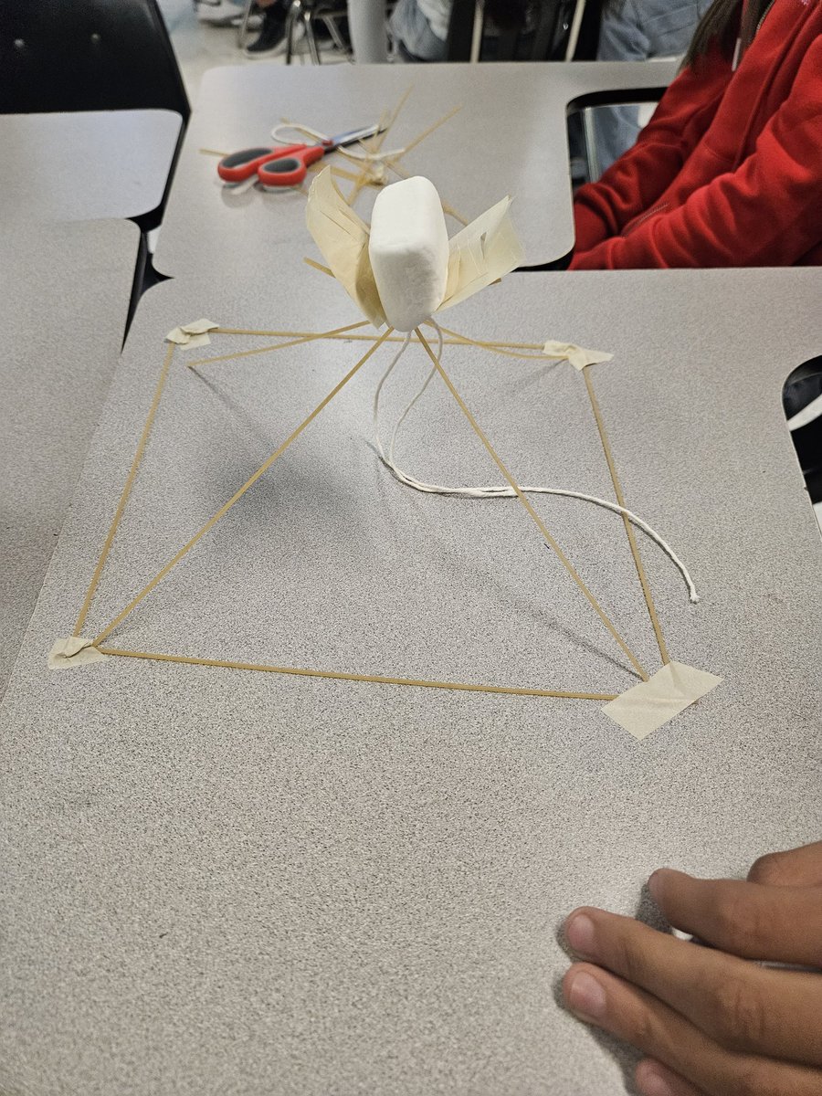 Mrs. Jessica Tarin, M.Ed tweet media