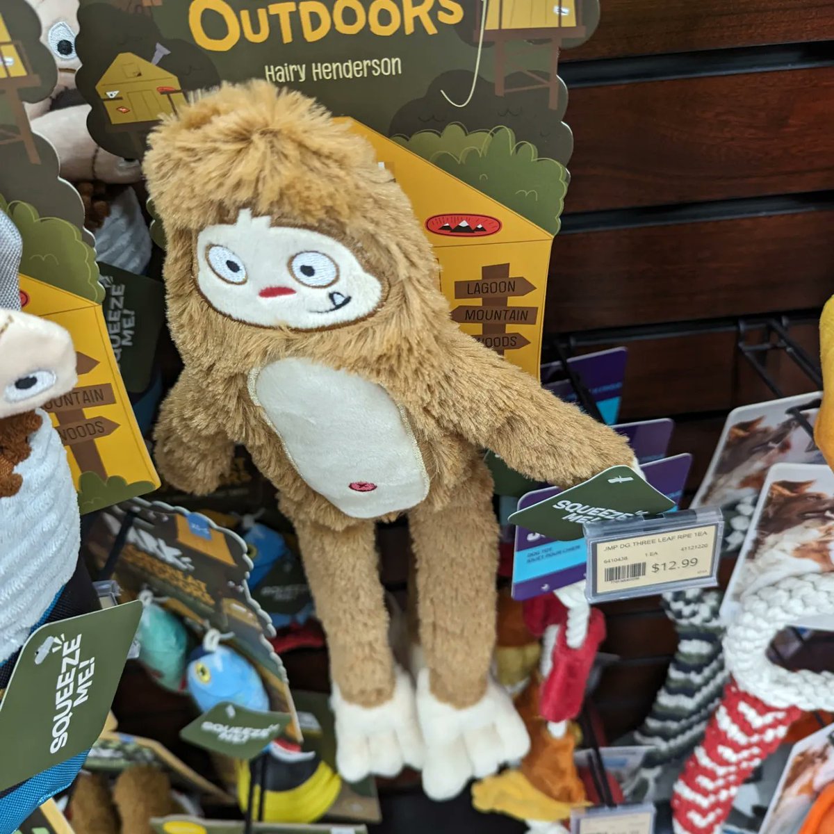 It's my dogs birthday today. What should I get him as a gift? A Treat or a Toy?