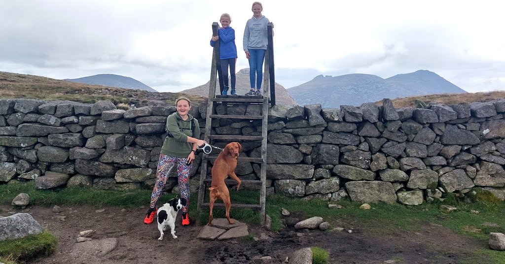 Today, I climbed the mountains with my crazy bunch! 
1 adult, 2 kids, 1 old dog, and 1 crazy young Vizsla😁 And we did it! 
Sad to say goodbye to my beloved #MourneMountains but we had an amazing holidays in #TollymoreForestPark 
Back to everyday reality now...