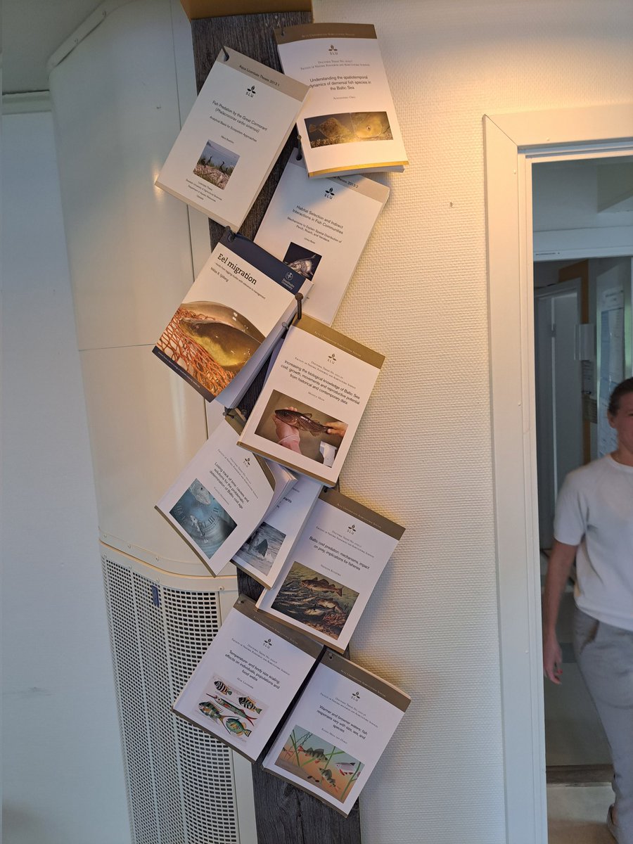 Robert Arlinghaus (moved to Blue Sky) tweet media