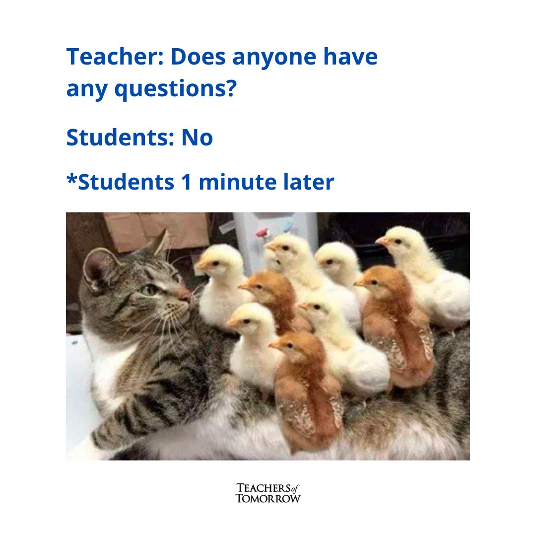 TOT_ACP's tweet image. Happy Back to School, teachers! 😂
#TeacherHumor #BacktoSchool #AltCertProgram #BecomeATeacher