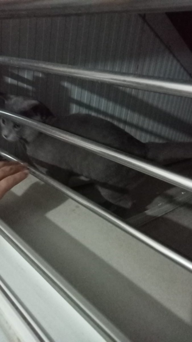 Aklımda deli sorular 3ncü kata gece gece nerden nasıl geldin 😂🤔