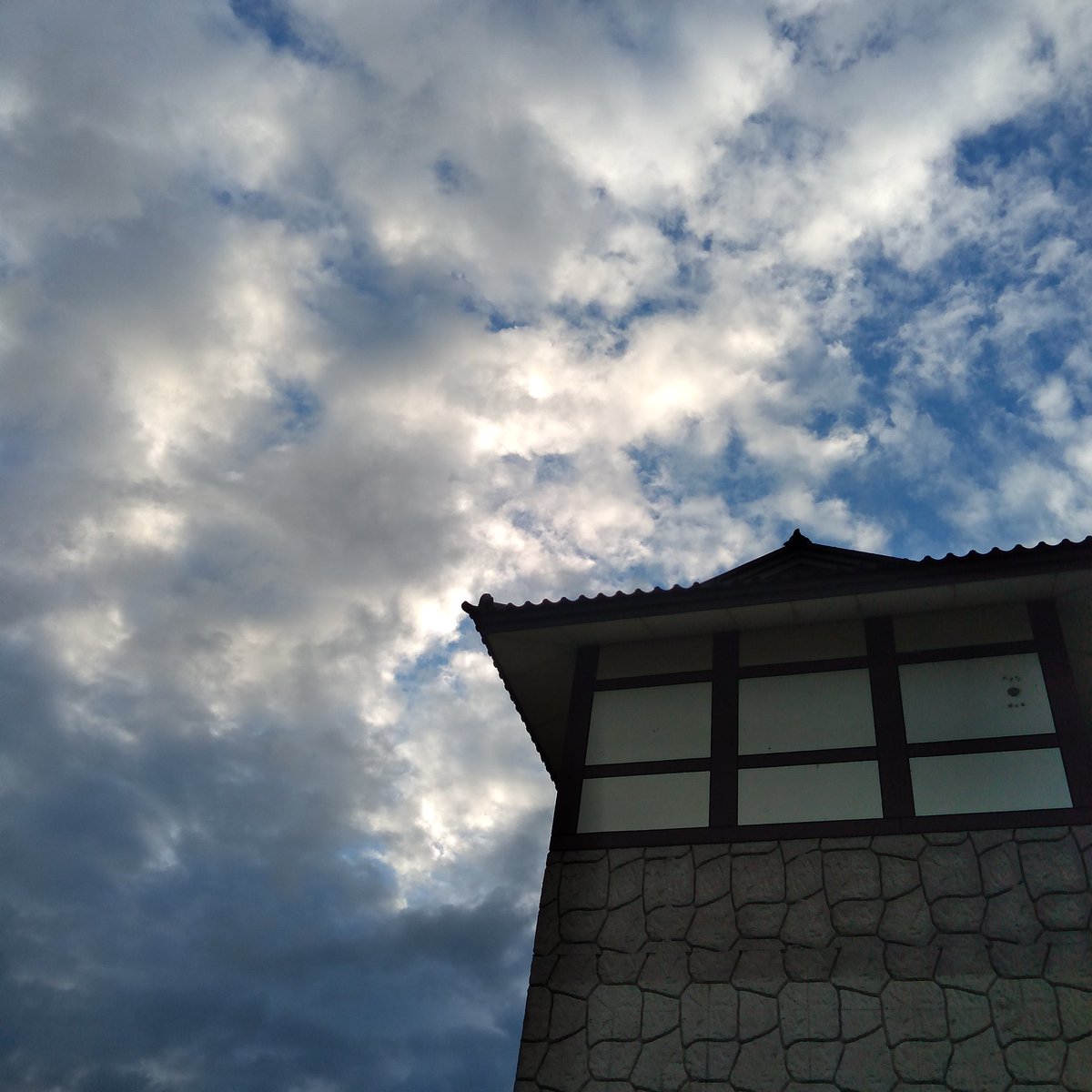 おはようございます。

久しぶりの朝活です。