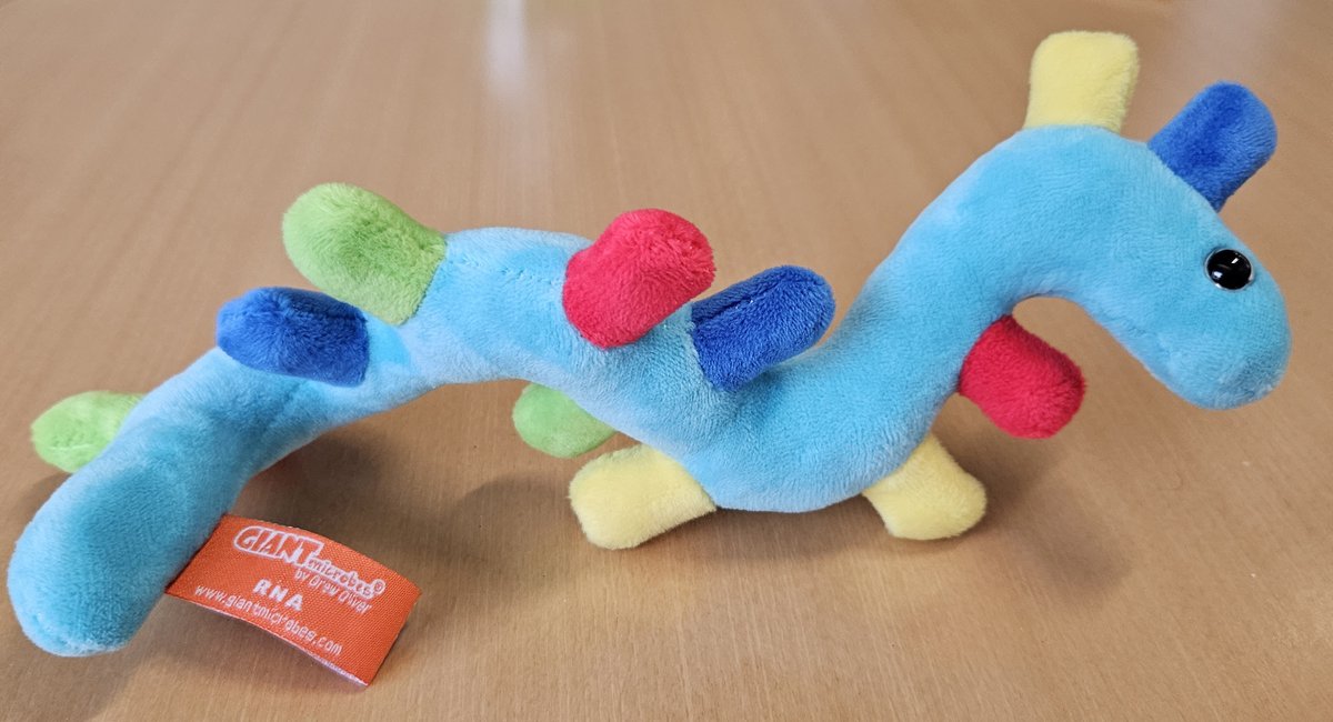 GIANTmicrobes's tweet photo. 💥SINGLE &amp; READY TO MINGLE💥 Cuddly and soft, this RNA comes with an information card with fascinating facts about #RNA and the science of #genetics. 
Shop now: https://t.co/sqNcto3JDF
📸 : @Kiss_RNA_Lab
#GIANTmicrobes  #genes #ancestry #genetics #geneticslab #biology #genome https://t.co/t4tXaPTfi1