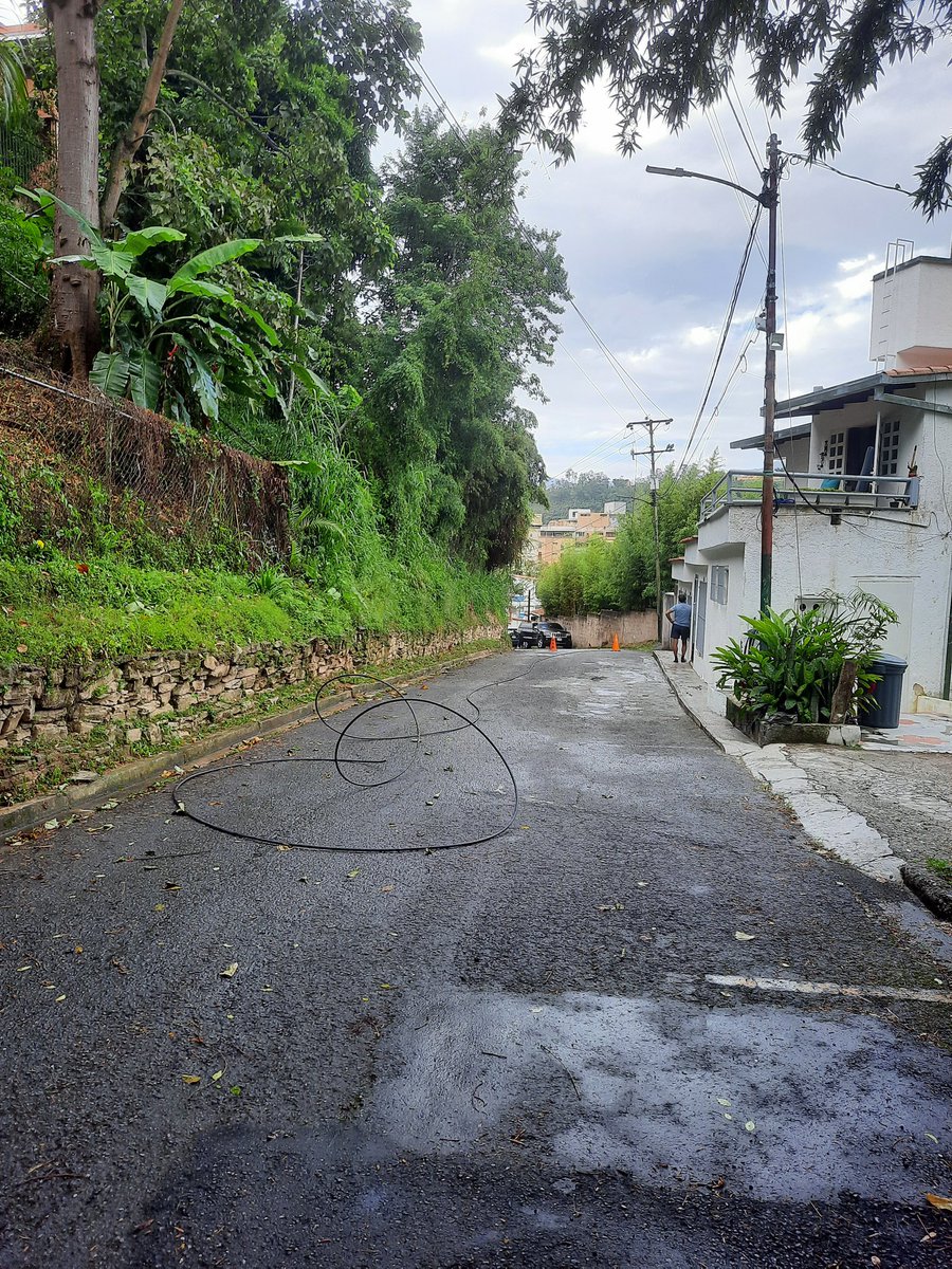 cespinomeneses's tweet photo. En la Calle Altos Los Pinos dentro de ASOOCHO-La Boyera-Los Pinos-El Hatillo, bambues cayeron sobre cable de alta tension, dejándolo en el asfalto @CorpoelecInfo @ServiciosEH agradecemos una cuadrilla para reconectar servicio eléctrico. https://t.co/lBpGCXqciL