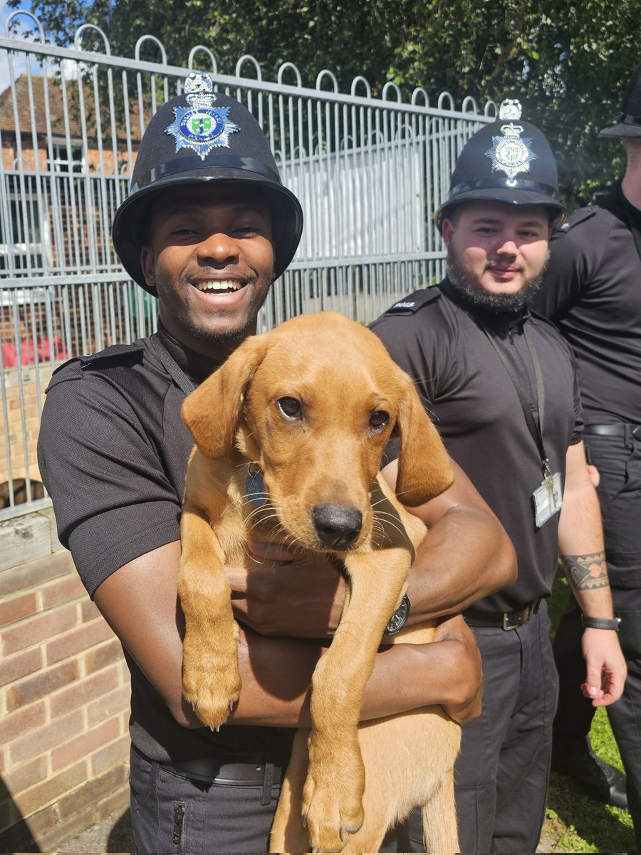 Hants_IOW Fire Dogs tweet media