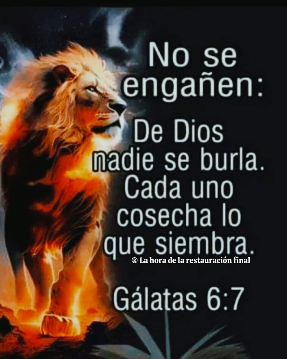 Maco_Rodas's tweet photo. 🙌 https://t.co/8u5xGmeHsU