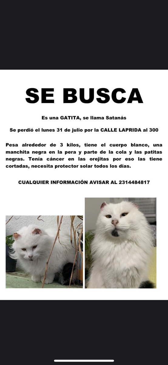 MariIslassssss's tweet photo. La sigo buscando 💔 https://t.co/hfWfCpqy9K