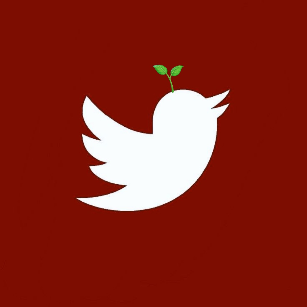 ˖໋݊✧ feed ideas {jinri version} ♡ 𖦹*