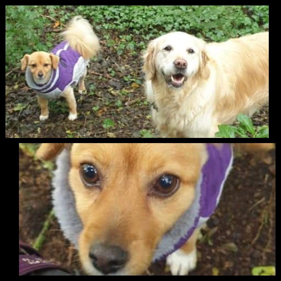 Amy here. Extra pictures from yesterday's walk with Jodie. I didn't end up going into space. Disappointed I couldn't be an astronaut though 🚀🚀🚀