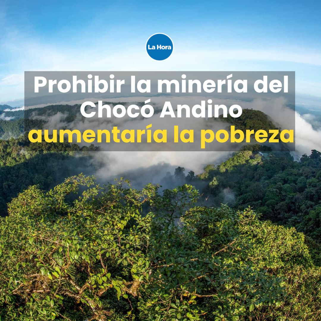 65 centro poblados de la mancomunidad del Chocó Andino dependen de esta actividad, según la Cámara de Minería. El 85% de la población vive en pobreza. 👀👉 bit.ly/3sjo9Z5