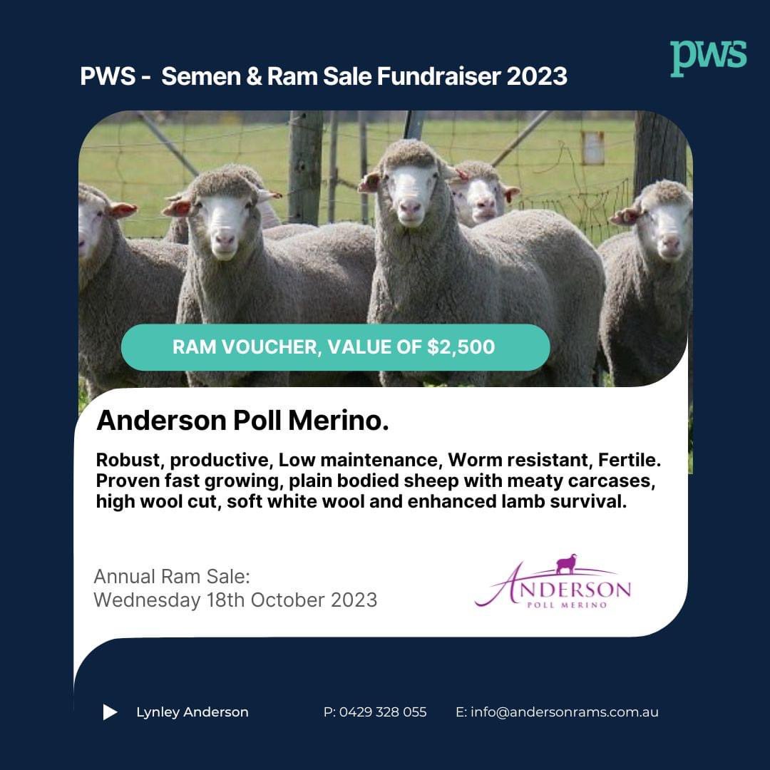 2023 PWS FUNDRAISER 📣 ✳️ANDERSON POLL MERINO ✳️ Anderson Poll Merino have kindly donated a ram voucher to the value of $2,500 that can be used at their upcoming ram sale 🙌. Dates below: ⬇️ 🗓Open Day: Wednesday 4th October. 🗓Ram Sale: Wednesday 18th October.