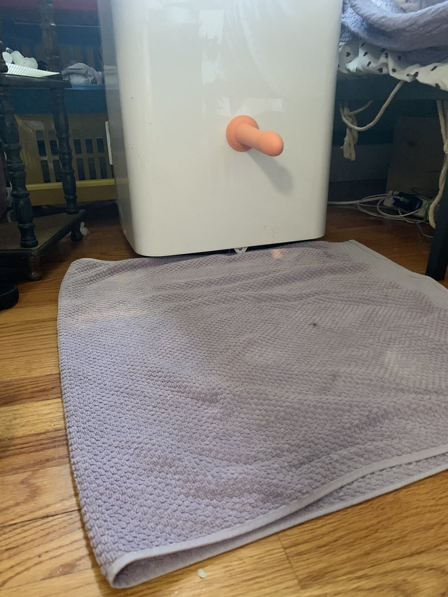 sammykrorschach's tweet photo. Fucking the ac because it’s so good to me 😜 https://t.co/Hz1lFuFHQS