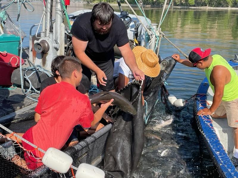 EarthGen tweet media