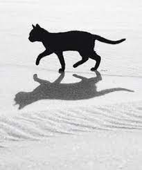 regiendrakece's tweet image. Only you know how you survive. Your actions, good or bad, will follow you like a shadow. So remember that even if you can lie to the whole world, you can't lie to yourself