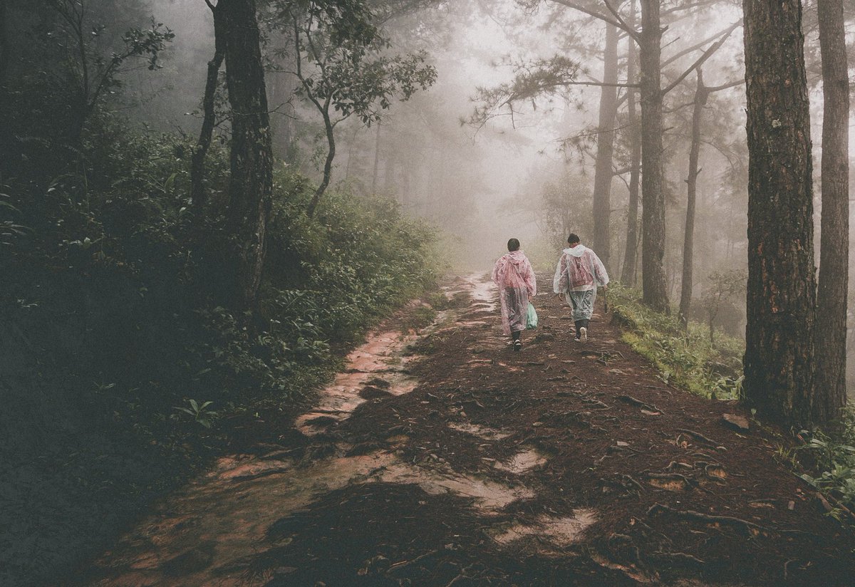 dochanhrn's tweet photo. Lang Biang mountain - Lam Dong Province.
Núi Lang biang leo bằng đường mòn...
#Travel #vietnamtravel #dalat
#Langbiang #rnh
#trekking https://t.co/4UpT9b86Np