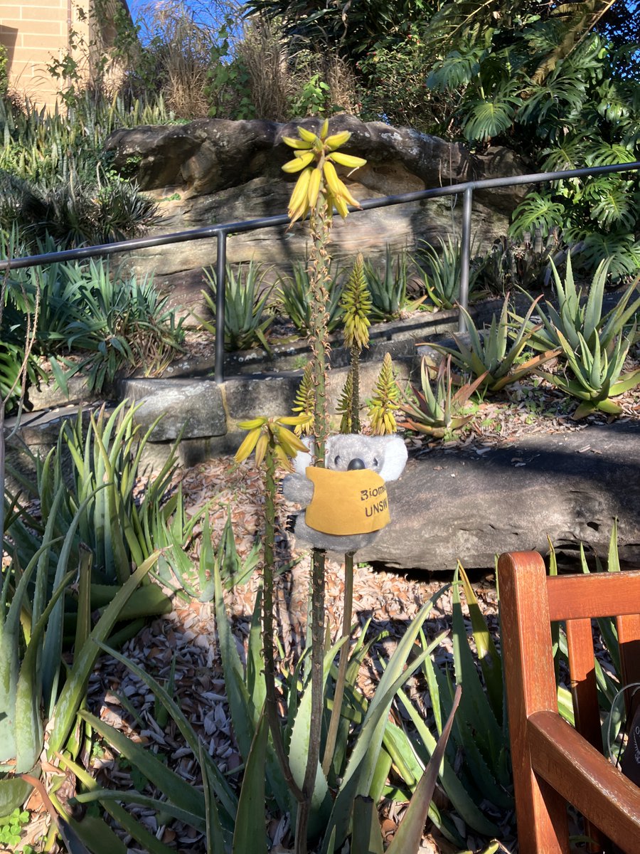 Maggie Delano @maggied@mastodon.xyz tweet media