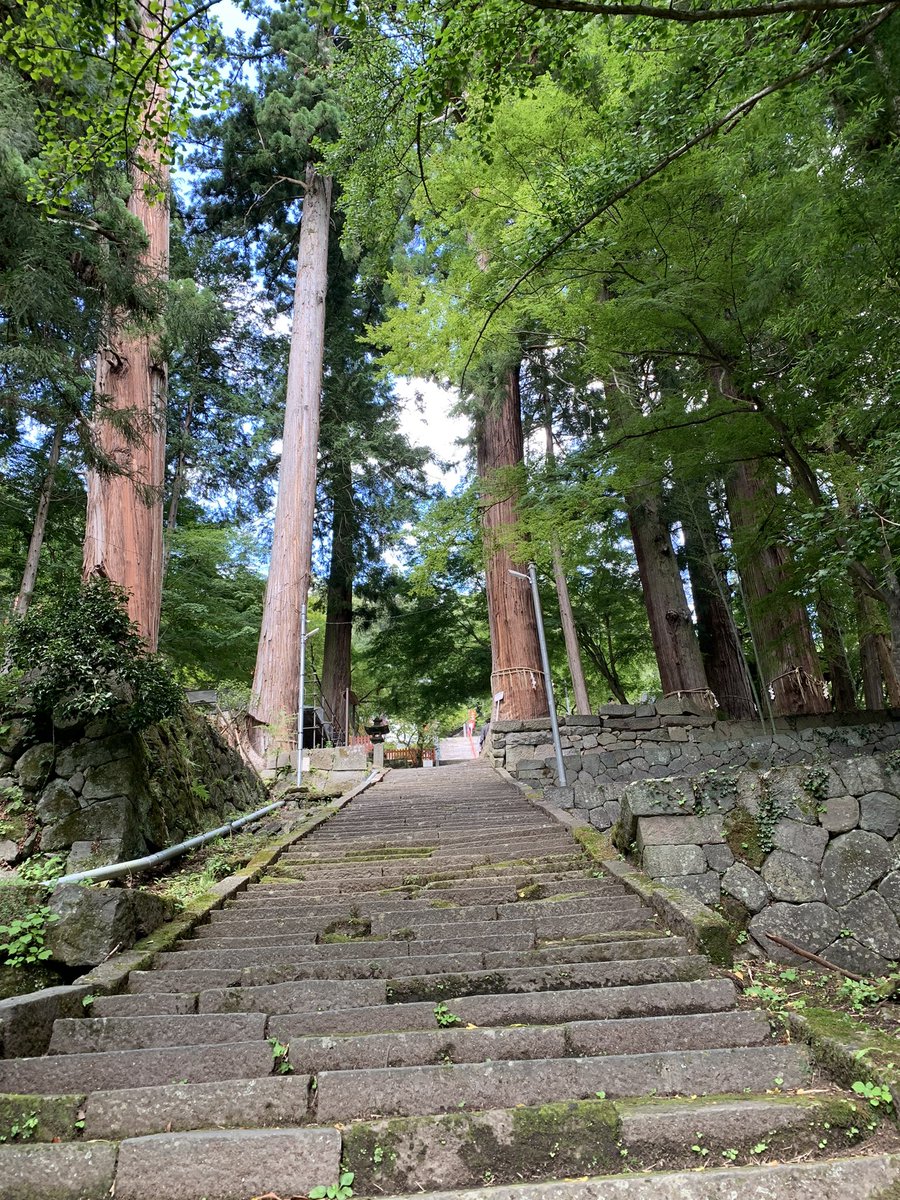 yonsan_walk's tweet photo. 金櫻神社
昇仙峡よりさらに車で登ったところにある金櫻神社を訪れました。
ここは歴史が古く、県内屈指のパワースポットとして有名な場所です。
金運アップの御利益もあるそうです😊
#山梨 #金櫻神社 #パワースポット #神社　#風鈴 #金のなる木 https://t.co/0NhXjtdYfq