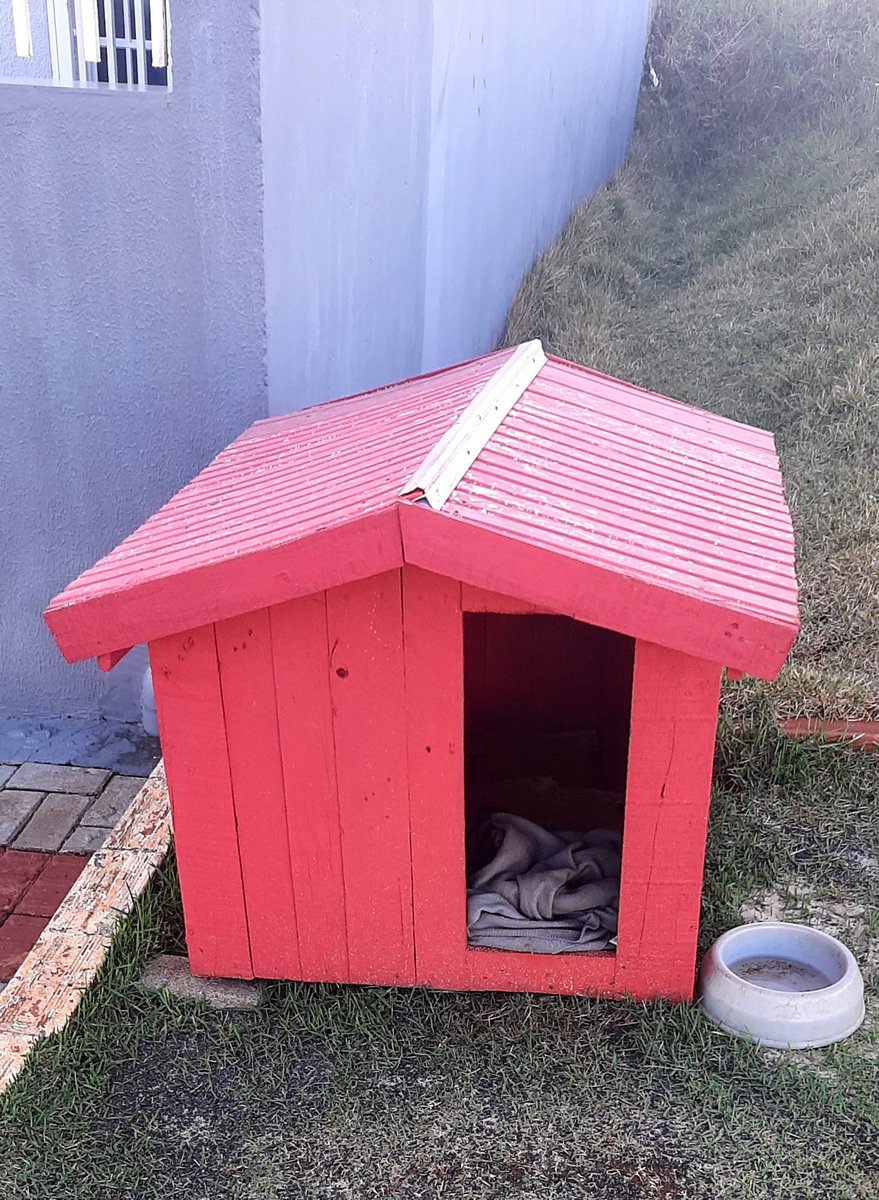 barbarawitte_'s tweet photo. A vizinhança onde eu moro em Chapecó tem várias casinhas como essa na Calçada para os doguinhos de rua. Praticamente uma por rua e todas com comida, água e cobertinha https://t.co/v9NJVJOPui