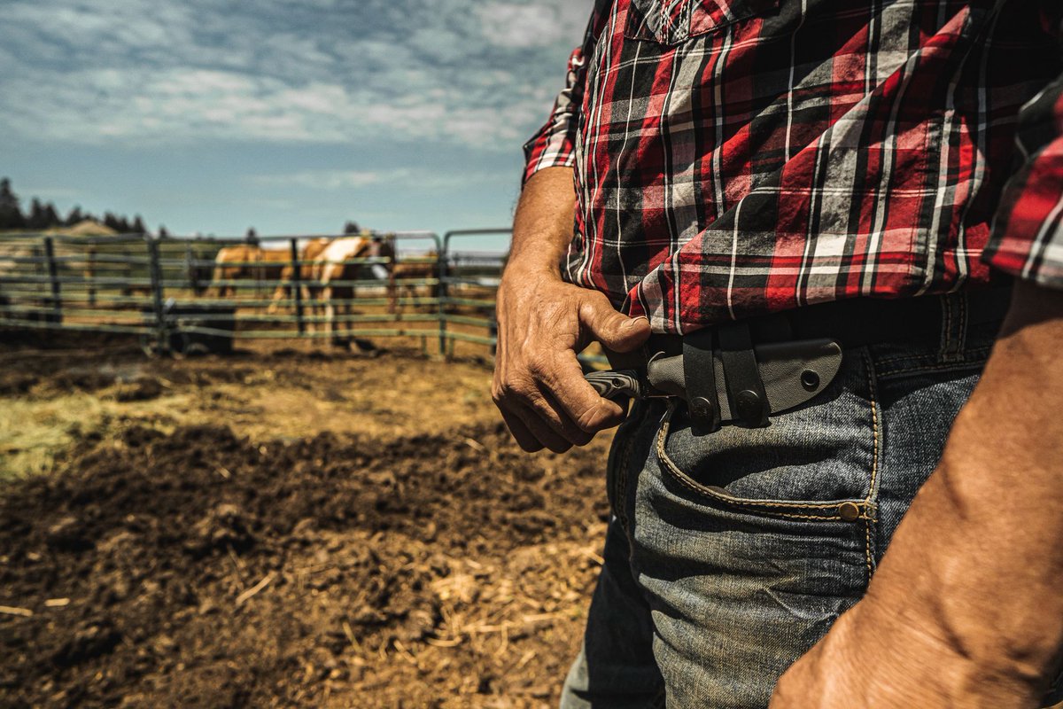 BoxerOutdoors's tweet photo. Need a tool for the ranch? Cowboy up with Boxer!
https://t.co/wICgEdXIIV

#cowboy #ranch #knives #horses #tools https://t.co/BclwGYVZNt