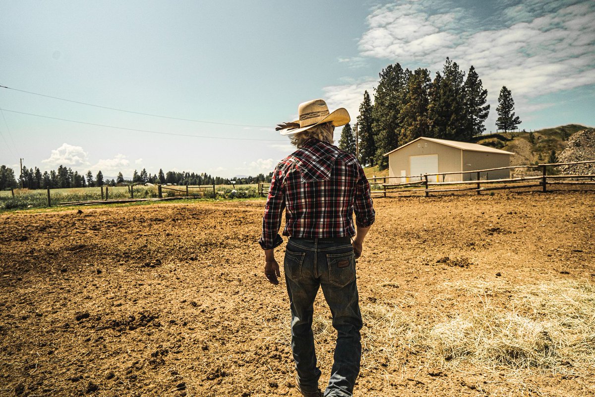 BoxerOutdoors's tweet photo. Need a tool for the ranch? Cowboy up with Boxer!
https://t.co/wICgEdXIIV

#cowboy #ranch #knives #horses #tools https://t.co/BclwGYVZNt