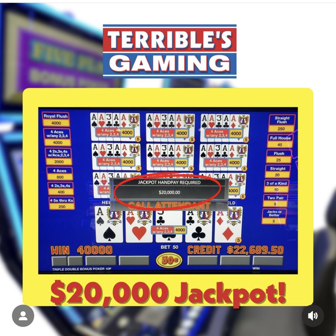 TerriblesGaming tweet media