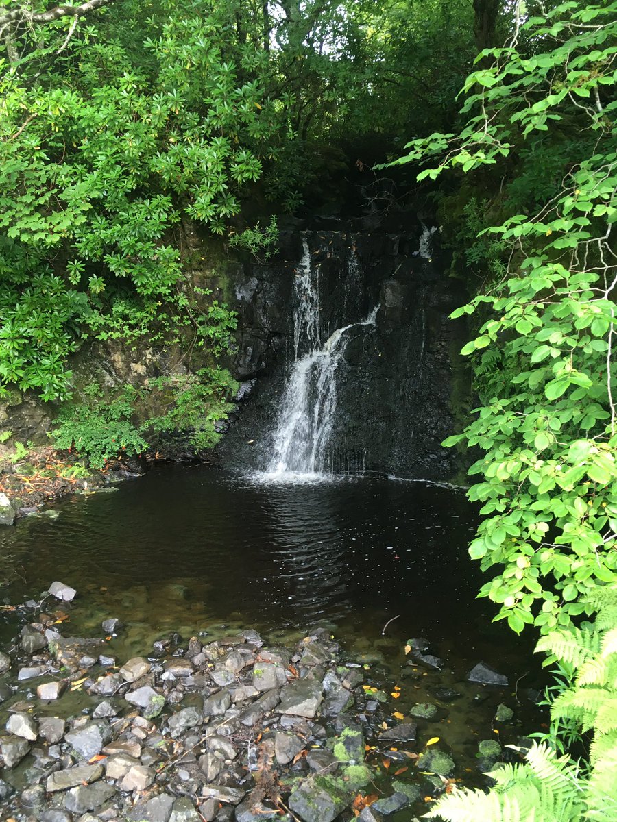 DesEclectiques's tweet photo. Dunvegan Castle, sur l'île de #Skye en Ecosse, vous offre de magnifiques jardins qui regorgent de nombreuses espèces de plantes, arbres et arbustes. Déambuler dans le jardin clos du XIXième est un plaisir https://t.co/PBe34YbZom