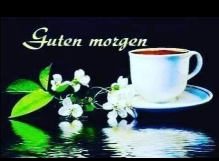 Ostdeutsch 😎 (@ralfhennig9) on Twitter photo 