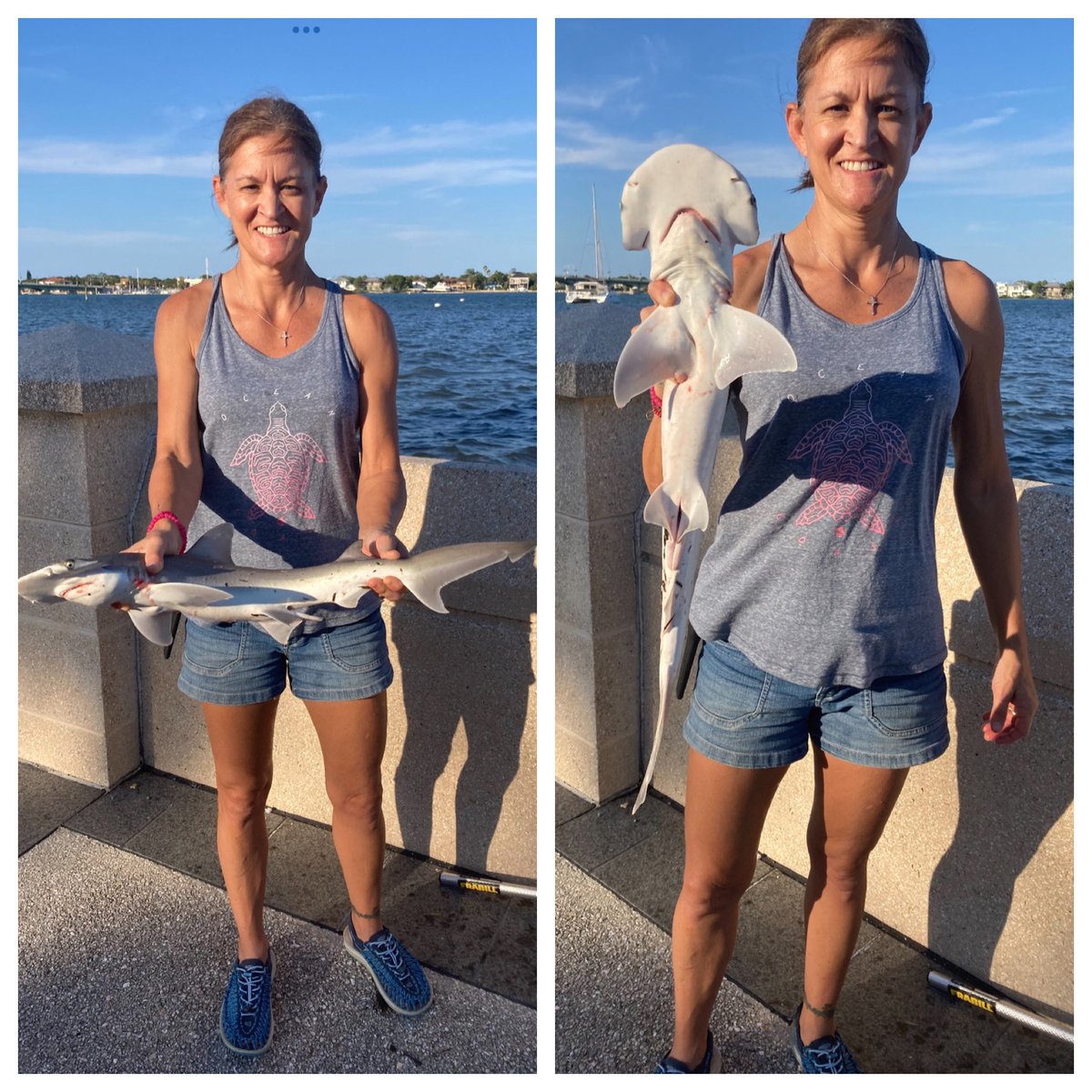 rappsody74's tweet image. My grandpa taught my father, who passed it on to me. Grabbed a pic before safely releasing this beautiful, male Bonnethead back into he IWC.  #fishing #Atlantic  #intracoastal #StAugustine #TeachHerToFish  #TeachersOfTwitter