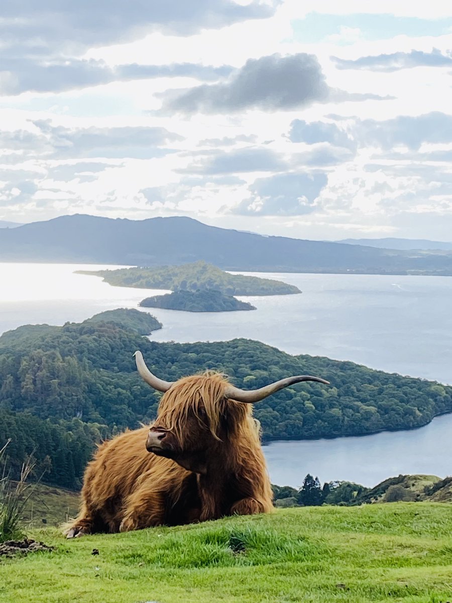 Prof Allison Littlejohn (@allisonl) on Twitter photo I love this view of #LochLomond from #ConicHill. I captured this photo while walking the #WestHighlandWay in 2020 on day 1 of the walk. If you want to experience quintessential #Scotland, this is the perfect way. <a href="/official_whw/">West Highland Way Official</a> <a href="/lomondtrossachs/">Loch Lomond & The Trossachs</a> I love this view of #LochLomond from #ConicHill. I captured this photo while walking the #WestHighlandWay in 2020 on day 1 of the walk. If you want to experience quintessential #Scotland, this is the perfect way. <a href="/official_whw/">West Highland Way Official</a> <a href="/lomondtrossachs/">Loch Lomond & The Trossachs</a>