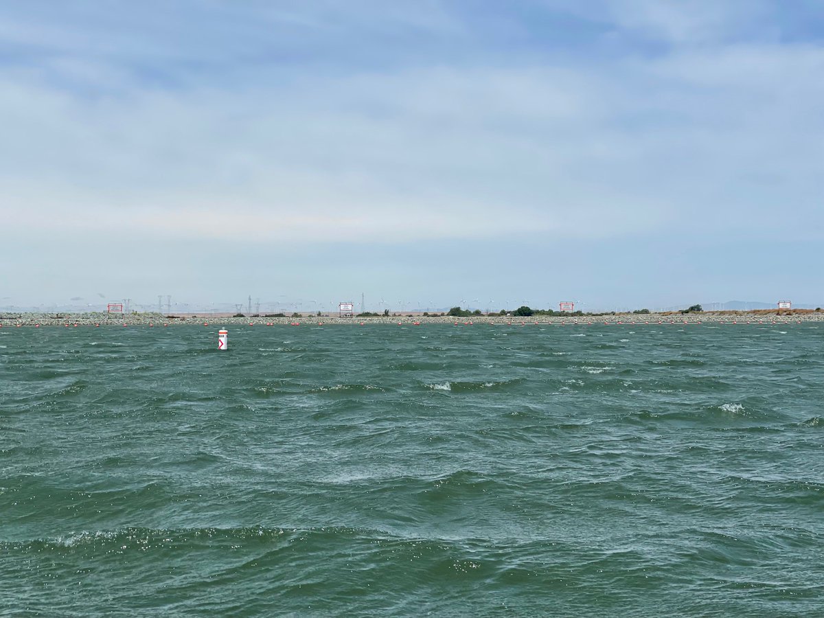 Laurel Larsen tweet media