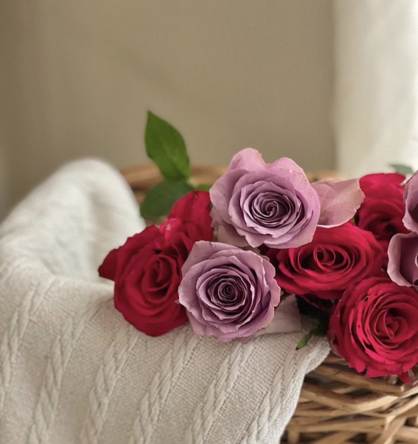 ‏❥|❁ سعاد .. tweet media