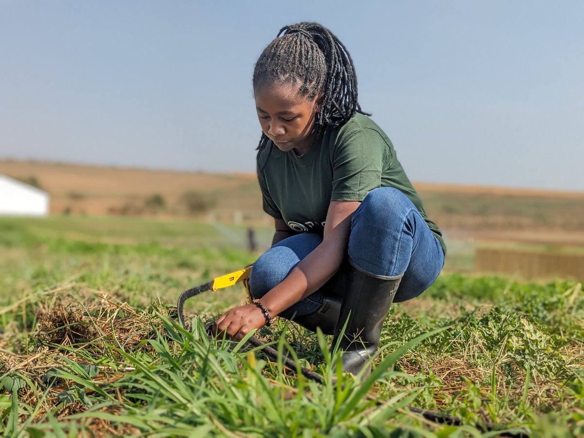 MUKESHIMANA Denyse tweet media