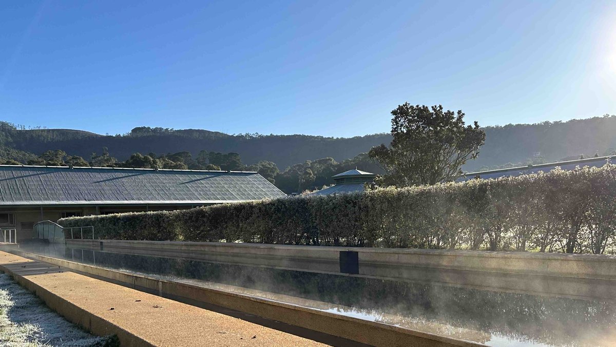 Team and horses are happy now that sun has shown itself here at Macedon Lodge. Beautiful morning (now)