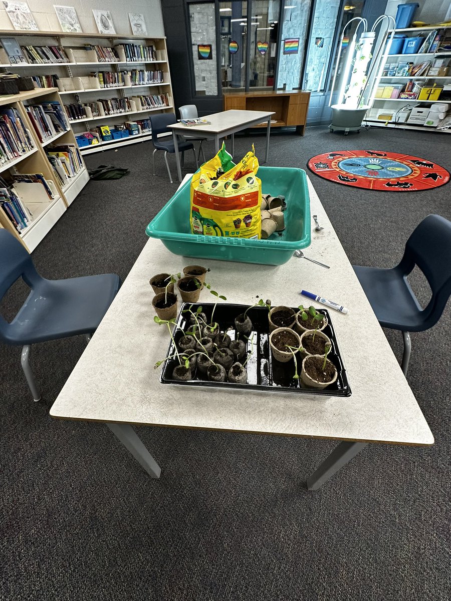 Way back in May schoolagers planted sunflower seeds for Mothers Day!  Ms Sharon planted one next to her wishing well.   Its over 8 feet and STILL growing!!